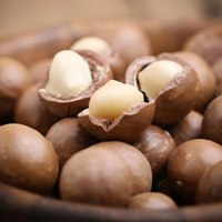 Macadamia Nuts